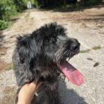 528461683 1150426283781851 3504675143280429397 n