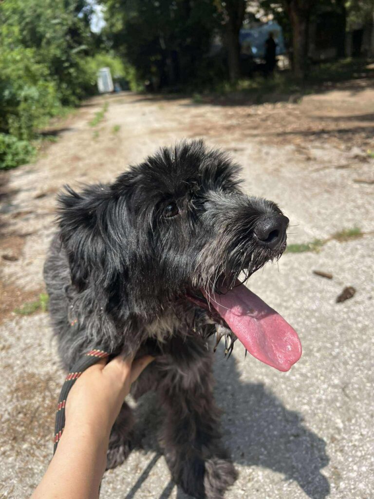 528461683 1150426283781851 3504675143280429397 n