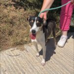 529388529 1152643476893465 1673249571277608038 n