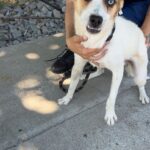 529697370 1152252346932578 6467277073276146501 n