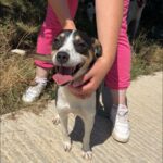 529851054 1152643650226781 4905919307490795253 n