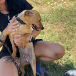 529921095 1155432766614536 6131931941654318452 n