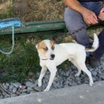 530204457 1152251833599296 7551486319226533359 n