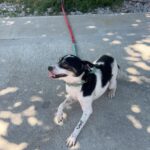 530232479 1154139650077181 2225464918295356584 n