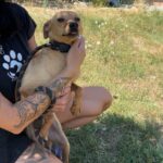 530340895 1155432719947874 4754752296732445137 n