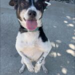 530472455 1154139433410536 3980044400907901978 n