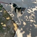 530624728 1154139933410486 8586992706608066527 n