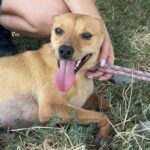 530636418 1155432756614537 6626942219500986522 n