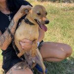 530676372 1155432709947875 1256947141109465990 n