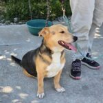 530838773 1152999243524555 4217838114826771855 n