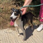 531237346 1152643753560104 6008841089919147528 n