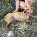 531278525 1155431853281294 2583310616137061783 n