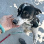 531352539 1154139780077168 2893323791656574428 n