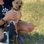 531623028 1155431589947987 4167533432455378371 n