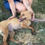 531719002 1155432046614608 1742847844748899685 n