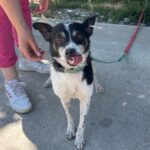 532049139 1154139213410558 3151510327590089838 n