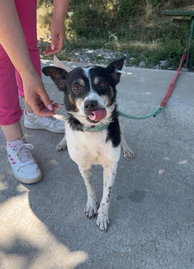 532049139 1154139213410558 3151510327590089838 n