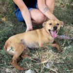 532051334 1155432319947914 1045527464913531600 n