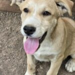 545394180 1179870404170772 7454372508061520108 n