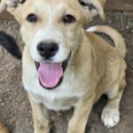 545562456 1179870454170767 7374658096107001330 n