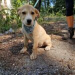 545644286 1179870447504101 5396724684918087233 n