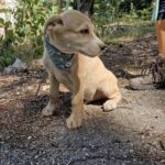 546289236 1179870330837446 7872127310398585792 n