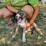 546667842 1180404530784026 6466308893273565373 n