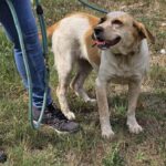 547197314 1183158273841985 7925012001487554309 n