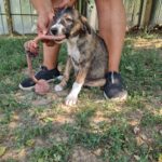 547255923 1180404724117340 7935123345323343123 n