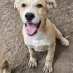 547502978 1179870354170777 3231555931322417632 n