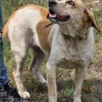 547778638 1183158293841983 1556677919145423594 n