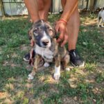 548030588 1180404587450687 4832097971714008444 n