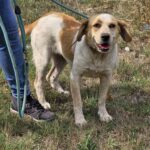 548137937 1183158353841977 5864173502352352114 n