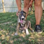 548386152 1180404817450664 3714457121336869499 n