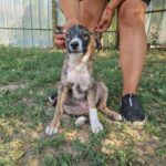 548430545 1180404637450682 1320702297088815658 n