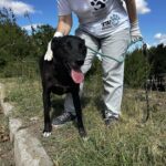 549152891 1186516496839496 7286862285663443991 n