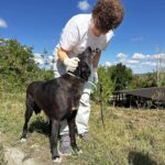 549324490 1186516510172828 4334823250253863841 n