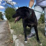 549948225 1186516540172825 8640863594259534515 n