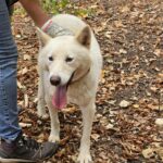 559039004 1206294278195051 1052757581372637952 n