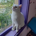 559527476 1208188518005627 3980211693911553561 n