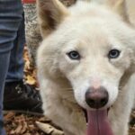 559833320 1206294301528382 4454198187647547046 n