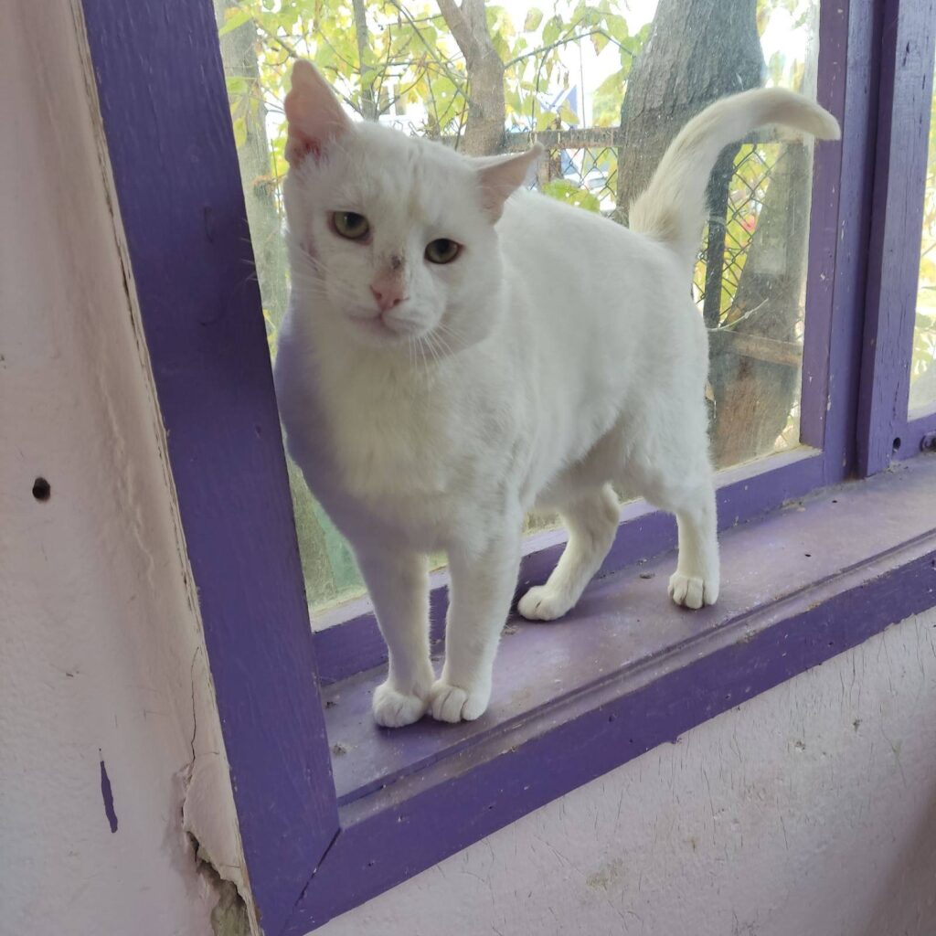 559961479 1208188454672300 6444091759008037179 n