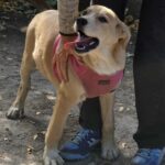 560105685 1210541891103623 497067245437703323 n