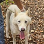 560157210 1206294324861713 8243958077207477198 n