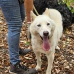 561180384 1206294254861720 652884806651721584 n