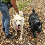 561362378 1206294288195050 5558587519698857262 n