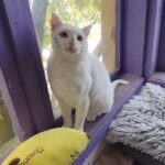 561535789 1208188574672288 3162449409143466890 n