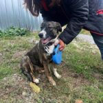 565181951 1209401681217644 3613613595047289765 n