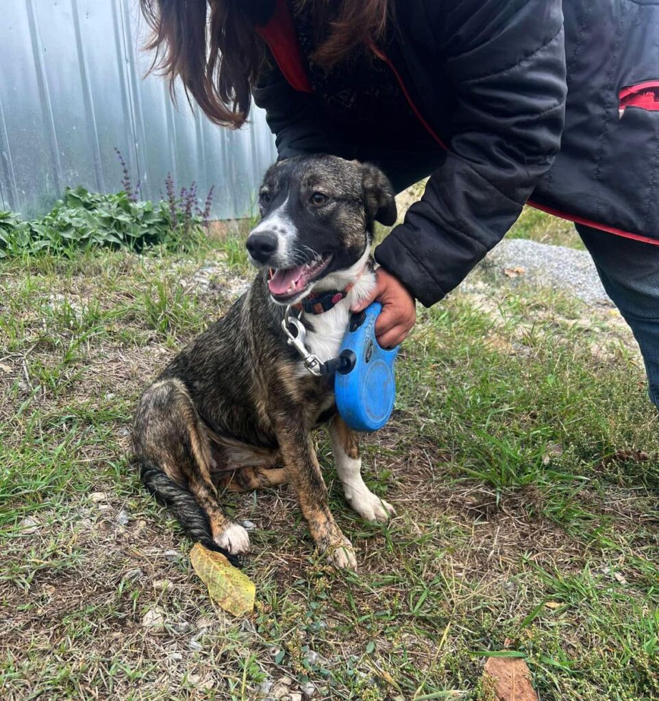 565181951 1209401681217644 3613613595047289765 n