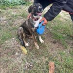 565655731 1209401814550964 1404713869264227750 n